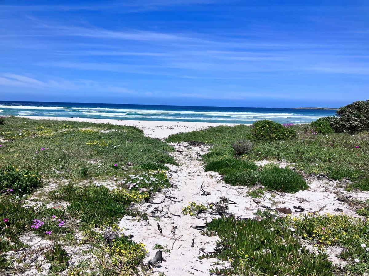 Silverdunes - Seaview Bettyʼs Bay Esterno foto